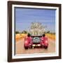 Meerkats in Car Waving-null-Framed Photographic Print