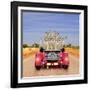 Meerkats in Car Waving-null-Framed Photographic Print