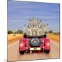 Meerkats in Car Waving-null-Mounted Photographic Print