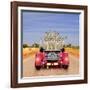 Meerkats in Car Waving-null-Framed Photographic Print