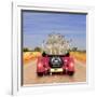 Meerkats in Car Waving-null-Framed Photographic Print