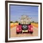 Meerkats in Car Waving-null-Framed Photographic Print