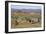 Meerkats, Oudtshoorn, Western Cape, South Africa, Africa-Ian Trower-Framed Photographic Print