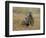 Meerkats (Suricates) (Suricata Suricatta), Greater Addo National Park, South Africa, Africa-Steve & Ann Toon-Framed Photographic Print