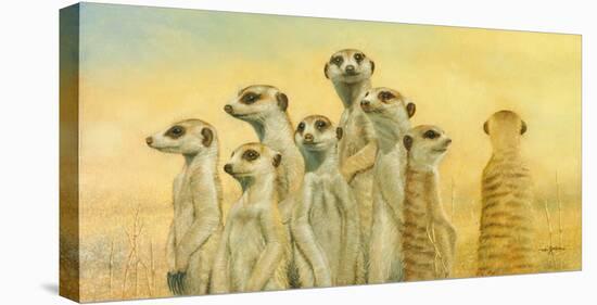 Meerkats-Henk Van Zanten-Stretched Canvas