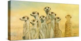 Meerkats-Henk Van Zanten-Stretched Canvas