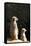 Meerkats-Karyn Millet-Framed Stretched Canvas