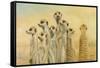 Meerkats-Henk Van Zanten-Framed Stretched Canvas