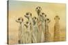 Meerkats-Henk Van Zanten-Stretched Canvas