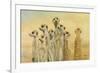 Meerkats-Henk Van Zanten-Framed Premium Giclee Print