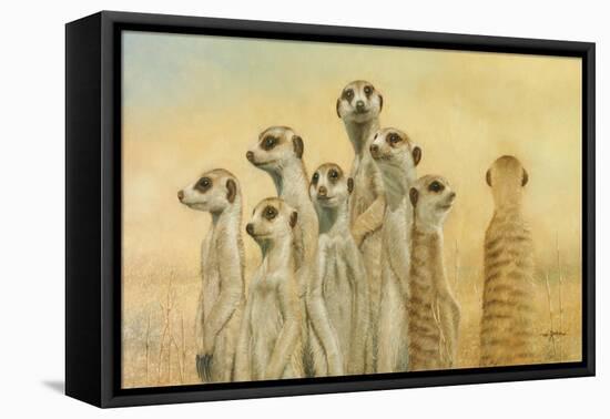 Meerkats-Henk Van Zanten-Framed Stretched Canvas