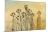 Meerkats-Henk Van Zanten-Mounted Art Print