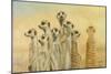 Meerkats-Henk Van Zanten-Mounted Art Print