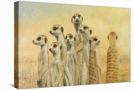 Meerkats-Henk Van Zanten-Stretched Canvas