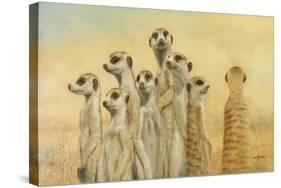 Meerkats-Henk Van Zanten-Stretched Canvas