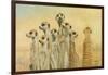 Meerkats-Henk Van Zanten-Framed Art Print