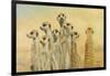 Meerkats-Henk Van Zanten-Framed Art Print