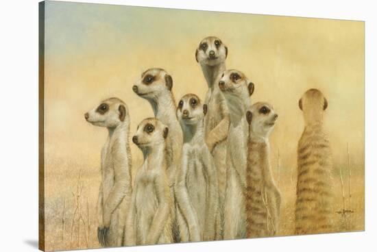 Meerkats-Henk Van Zanten-Stretched Canvas