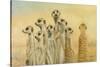 Meerkats-Henk Van Zanten-Stretched Canvas