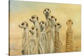 Meerkats-Henk Van Zanten-Stretched Canvas