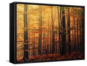 Meet Me in the Morning-Philippe Sainte-Laudy-Framed Stretched Canvas