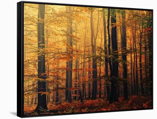 Meet Me in the Morning-Philippe Sainte-Laudy-Framed Stretched Canvas