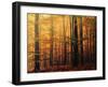 Meet Me in the Morning-Philippe Sainte-Laudy-Framed Premium Photographic Print