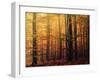 Meet Me in the Morning-Philippe Sainte-Laudy-Framed Premium Photographic Print