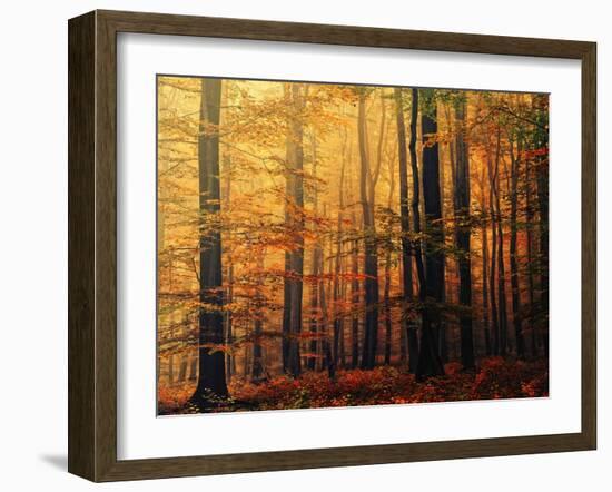 Meet Me in the Morning-Philippe Sainte-Laudy-Framed Photographic Print