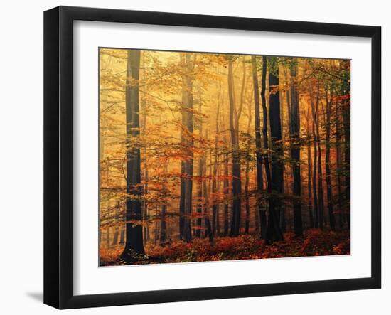 Meet Me in the Morning-Philippe Sainte-Laudy-Framed Photographic Print