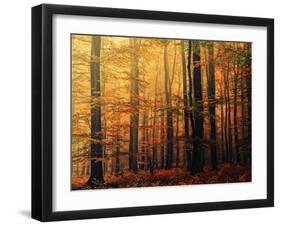Meet Me in the Morning-Philippe Sainte-Laudy-Framed Photographic Print
