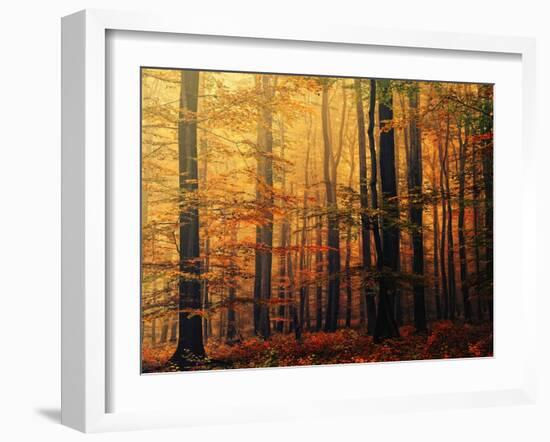 Meet Me in the Morning-Philippe Sainte-Laudy-Framed Photographic Print