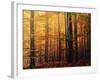 Meet Me in the Morning-Philippe Sainte-Laudy-Framed Photographic Print