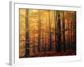 Meet Me in the Morning-Philippe Sainte-Laudy-Framed Photographic Print