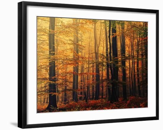 Meet Me in the Morning-Philippe Sainte-Laudy-Framed Photographic Print