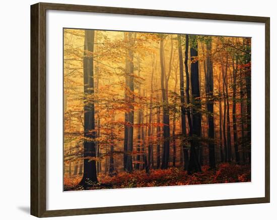 Meet Me in the Morning-Philippe Sainte-Laudy-Framed Photographic Print