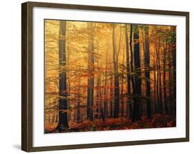 Meet Me in the Morning-Philippe Sainte-Laudy-Framed Photographic Print