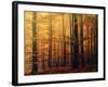 Meet Me in the Morning-Philippe Sainte-Laudy-Framed Photographic Print