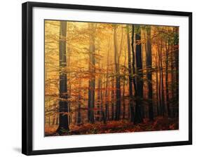 Meet Me in the Morning-Philippe Sainte-Laudy-Framed Photographic Print