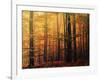 Meet Me in the Morning-Philippe Sainte-Laudy-Framed Photographic Print