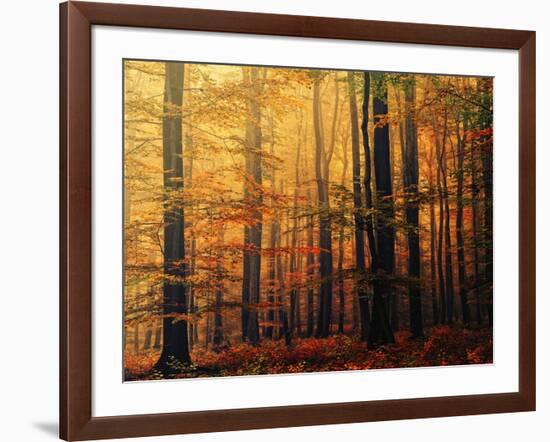 Meet Me in the Morning-Philippe Sainte-Laudy-Framed Photographic Print