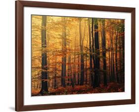 Meet Me in the Morning-Philippe Sainte-Laudy-Framed Photographic Print