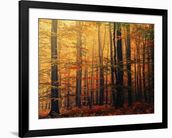 Meet Me in the Morning-Philippe Sainte-Laudy-Framed Photographic Print
