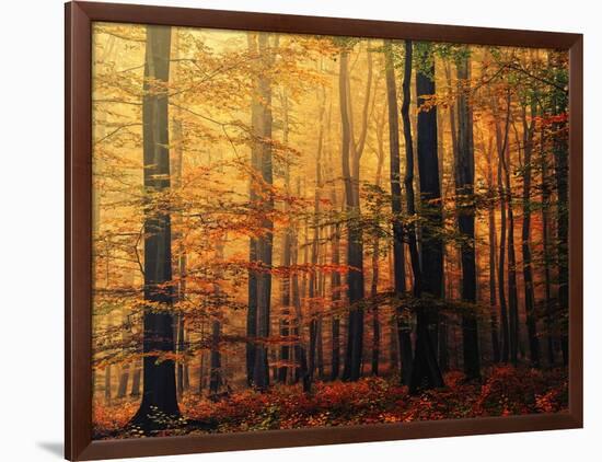 Meet Me in the Morning-Philippe Sainte-Laudy-Framed Photographic Print