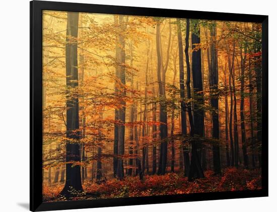 Meet Me in the Morning-Philippe Sainte-Laudy-Framed Photographic Print