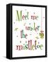 Meet Me Under the Mistletoe-Anna Quach-Framed Stretched Canvas