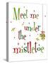 Meet Me Under the Mistletoe-Anna Quach-Stretched Canvas