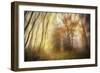 Meet-Viviane Fedieu Daniel-Framed Photographic Print