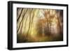 Meet-Viviane Fedieu Daniel-Framed Photographic Print