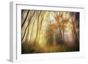 Meet-Viviane Fedieu Daniel-Framed Photographic Print